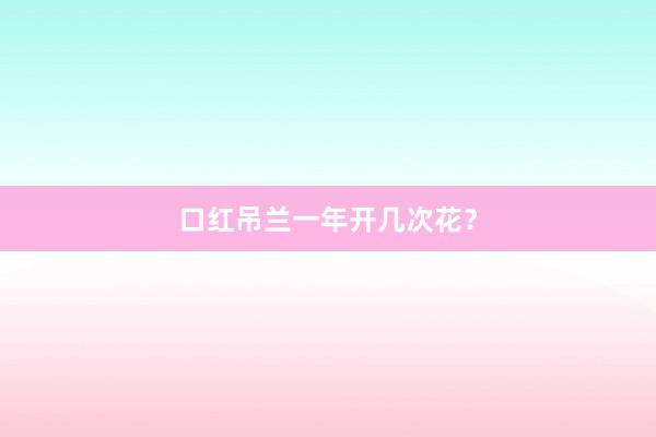 口红吊兰一年开几次花？